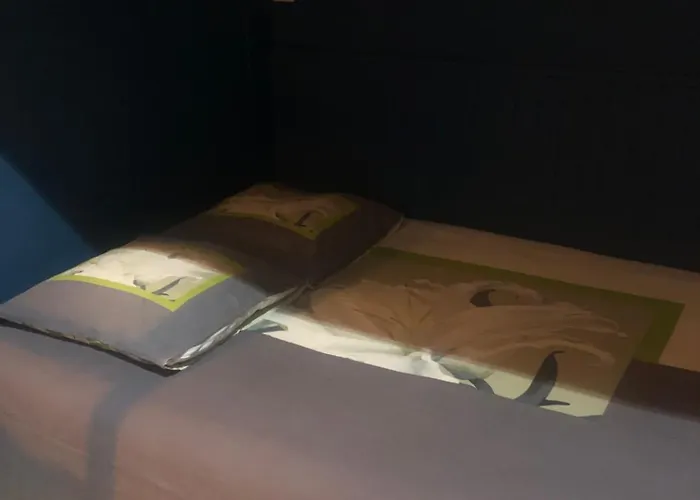 公寓 Agreable 4 Personnes Rdc 5min A Pieds Du Centre, Des Remontees Et Des Thermes